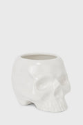 Cranium Planter